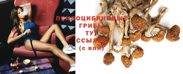 a pvp Алексин